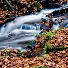 Bachlauf im Herbst