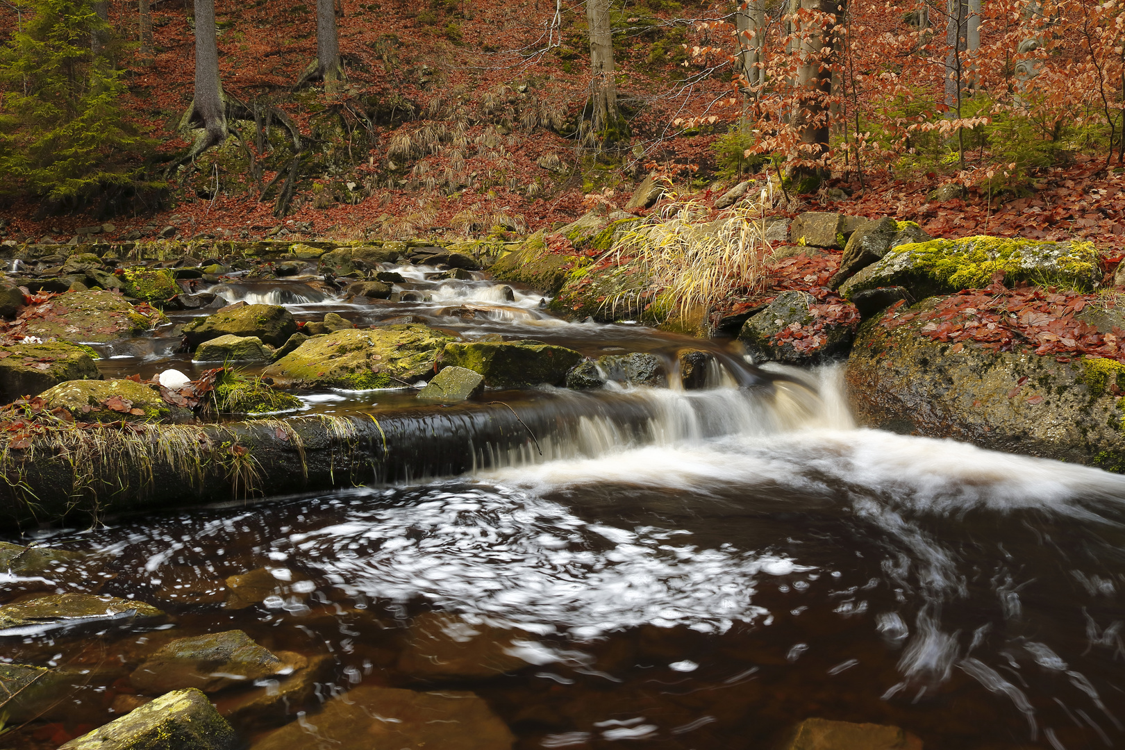 Bachlauf im Herbst