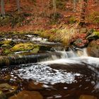 Bachlauf im Herbst