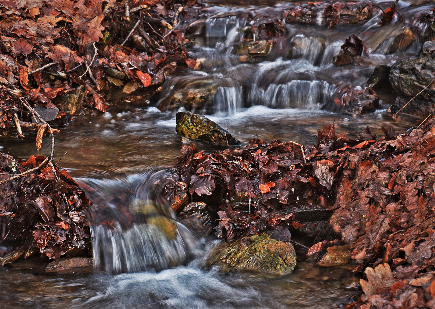  Bachlauf im Herbst....