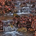  Bachlauf im Herbst....