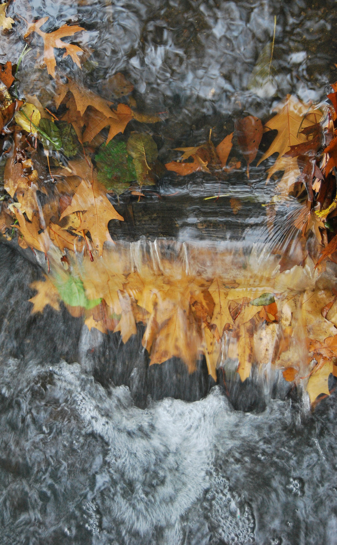 Bachlauf im Herbst