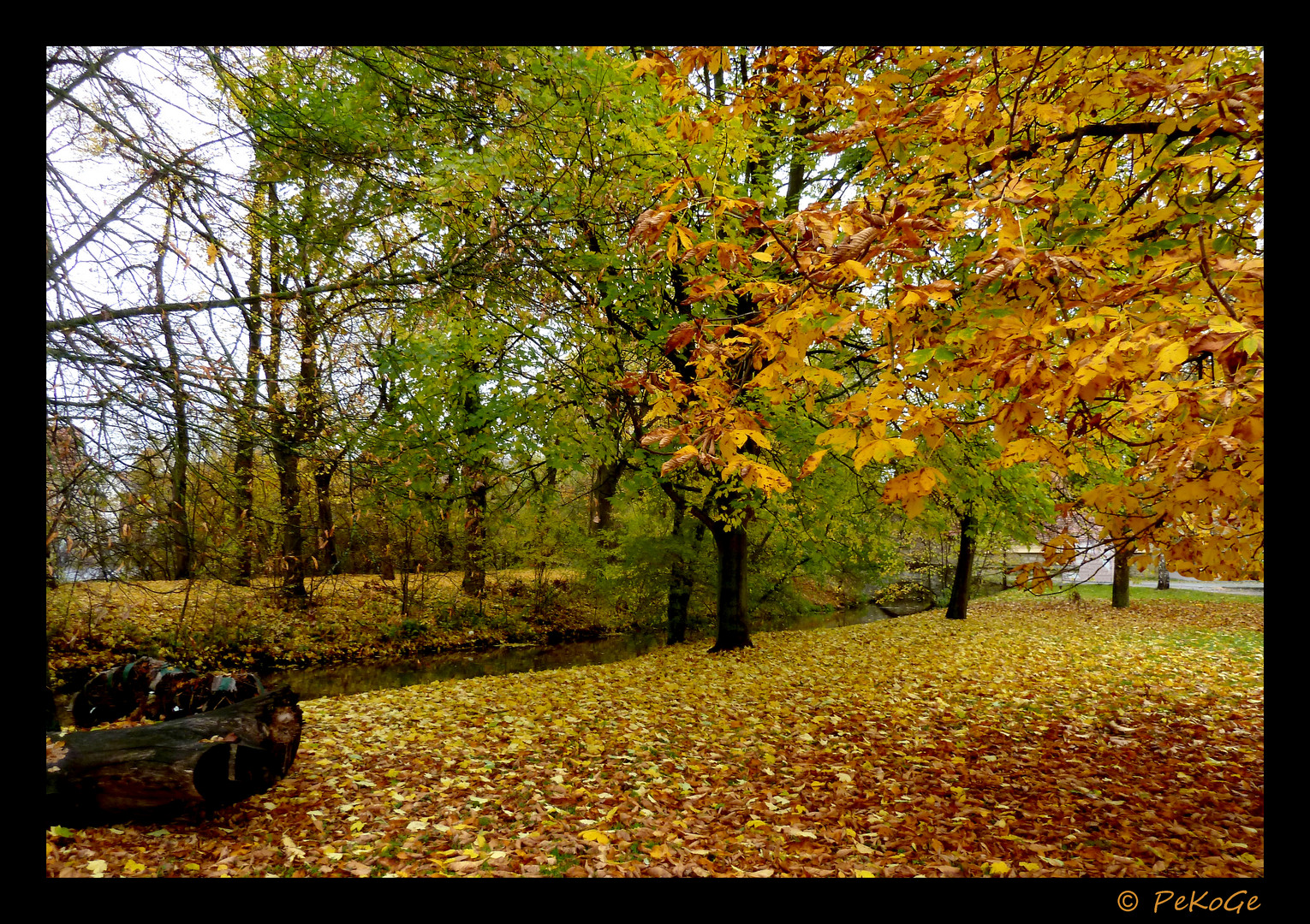 Bachlauf im Herbst