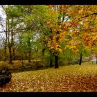 Bachlauf im Herbst