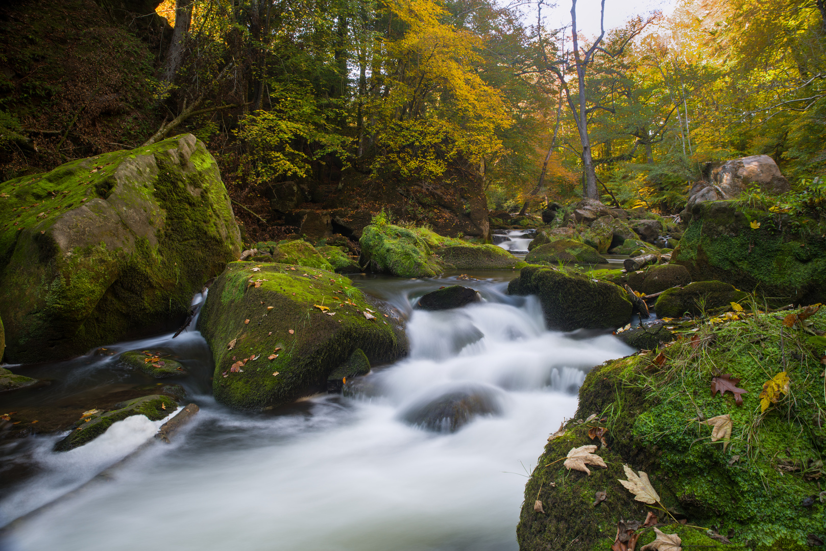 Bachlauf im Herbst