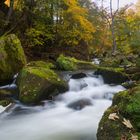 Bachlauf im Herbst