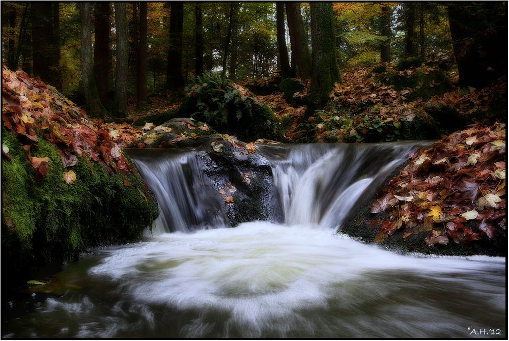 Bachlauf im Herbst