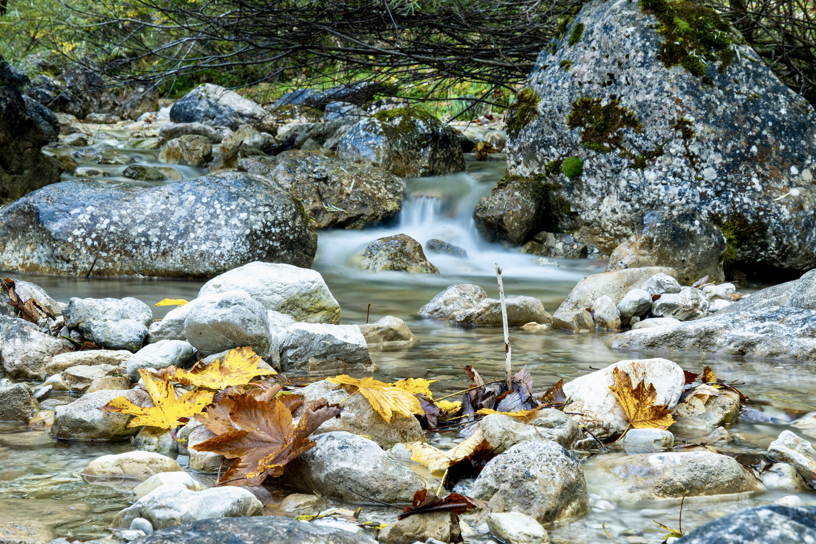 Bachlauf im Herbst