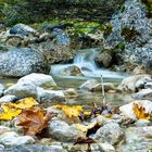 Bachlauf im Herbst