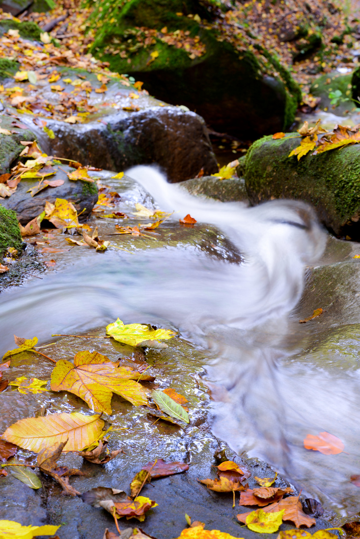 Bachlauf im Herbst