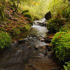 Bachlauf im Herbst