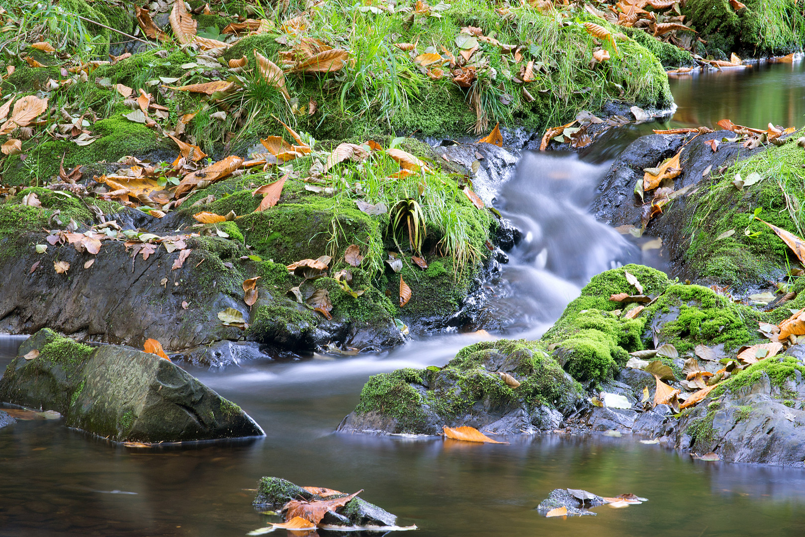 Bachlauf im herbst