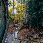 Bachlauf im Herbstwald