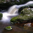 Bachlauf im Hohen Venn