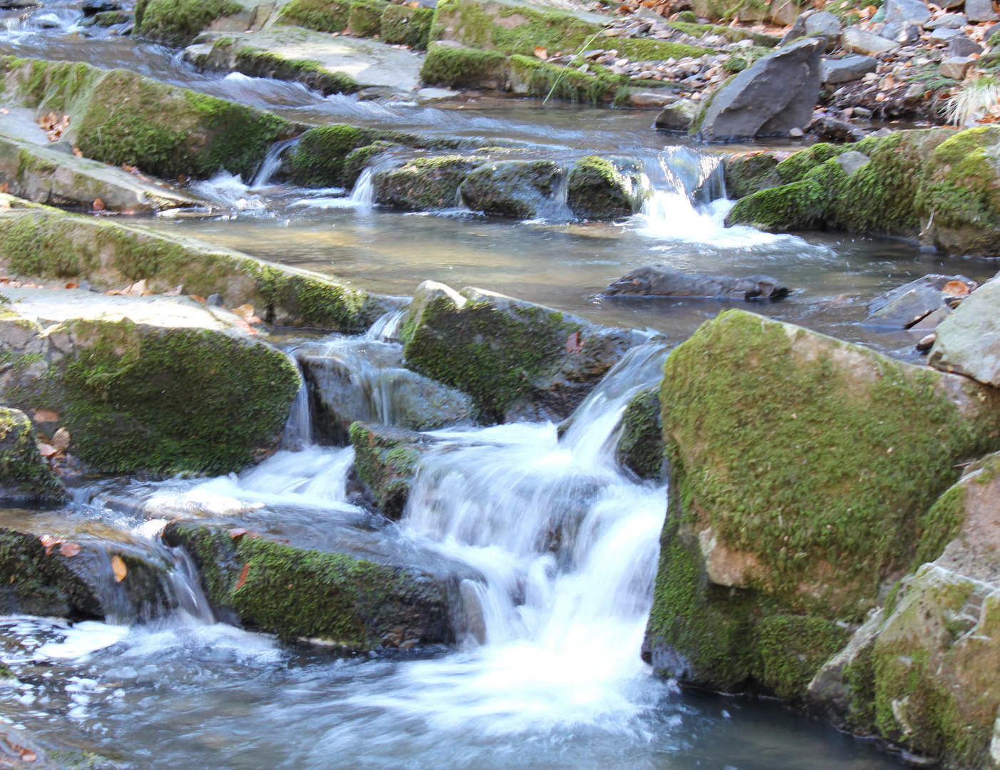 Bachlauf im Hunsrück