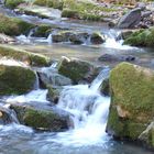 Bachlauf im Hunsrück