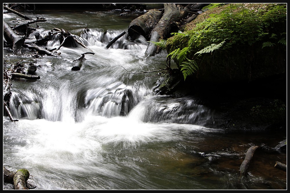 Bachlauf im Karlstal