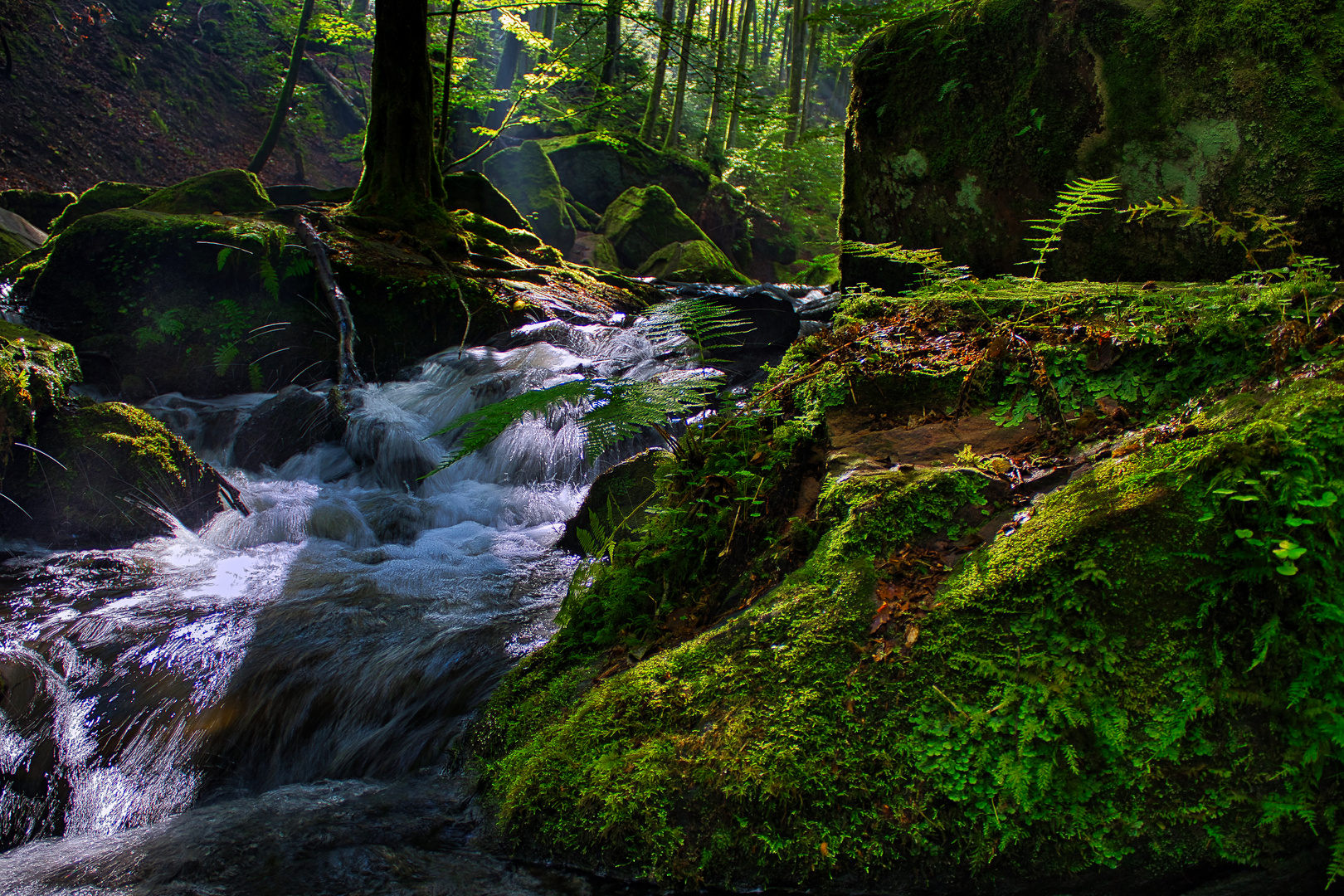 Bachlauf im Karlstal