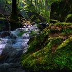 Bachlauf im Karlstal