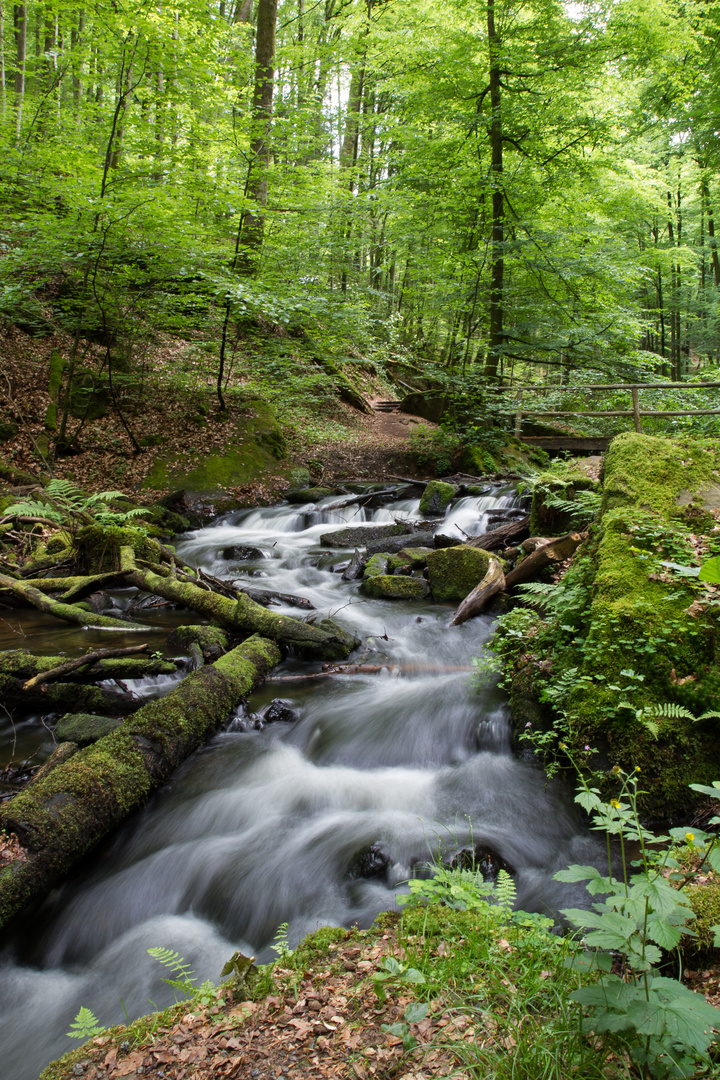 Bachlauf im Karlstal