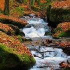 Bachlauf im Karlstal