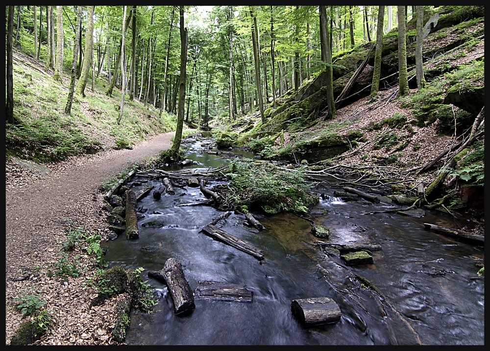 Bachlauf im Karlstal II