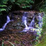 Bachlauf im Kurpark der Mittelrheinklinik Bad Salzig