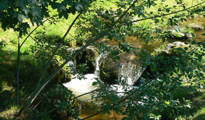 Bachlauf im Kurpark Schonach