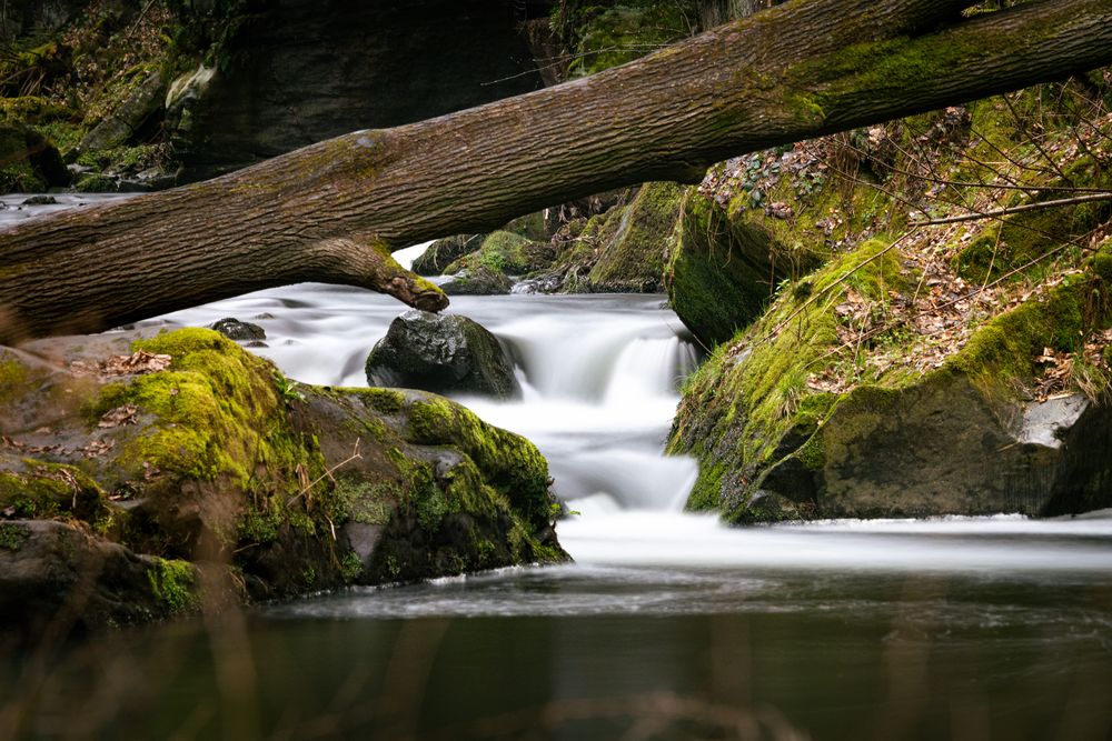 Bachlauf im Liebethaler Grund