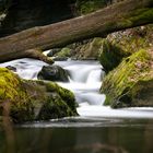 Bachlauf im Liebethaler Grund