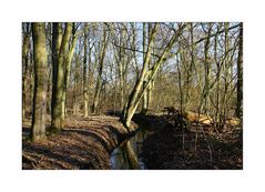 < Bachlauf im Lintorfer Wald >