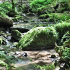 Bachlauf im Monbachtal/Schwarzwald