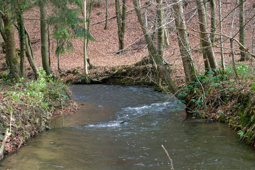 Bachlauf im Murbachtal