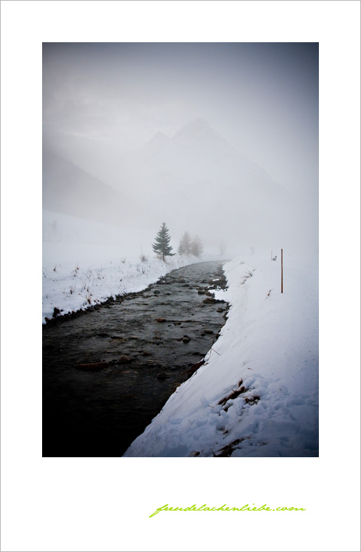 Bachlauf im Nebel