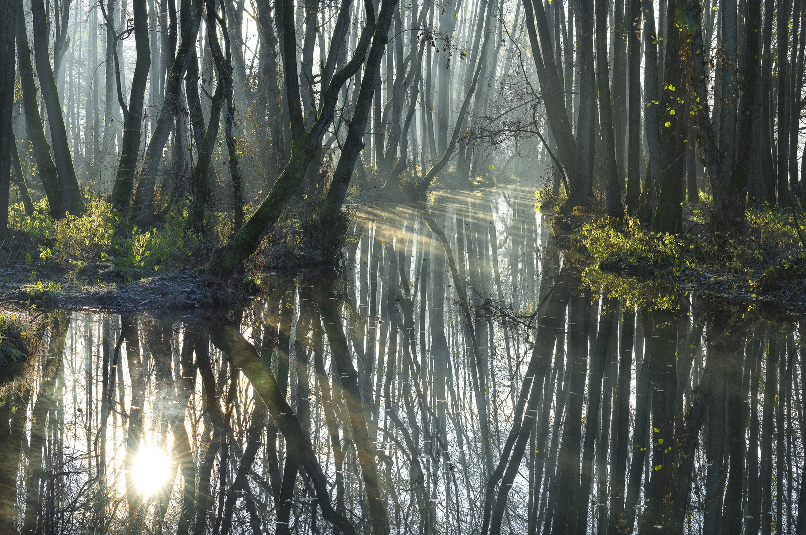 Bachlauf im Nebel