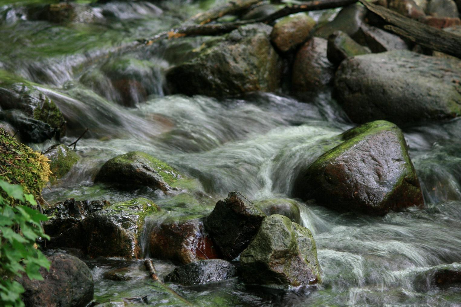 Bachlauf im Nebeltal Kuchelmiss