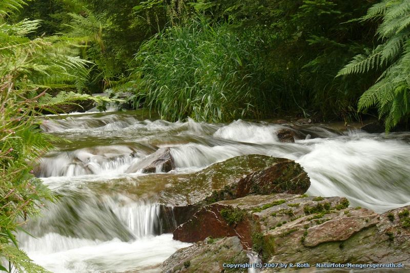 Bachlauf im Neumannsgrund