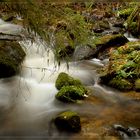 Bachlauf im Nordschwarzwald