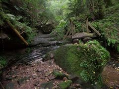 Bachlauf im Nordschwarzwald