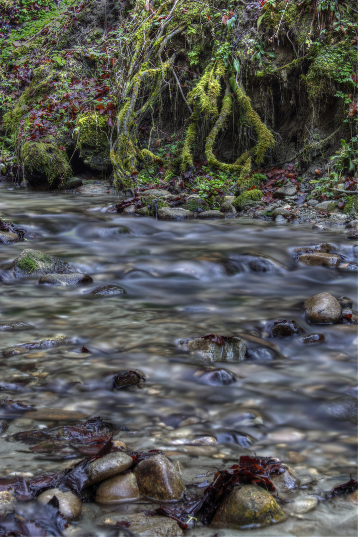 Bachlauf im Oberaargau