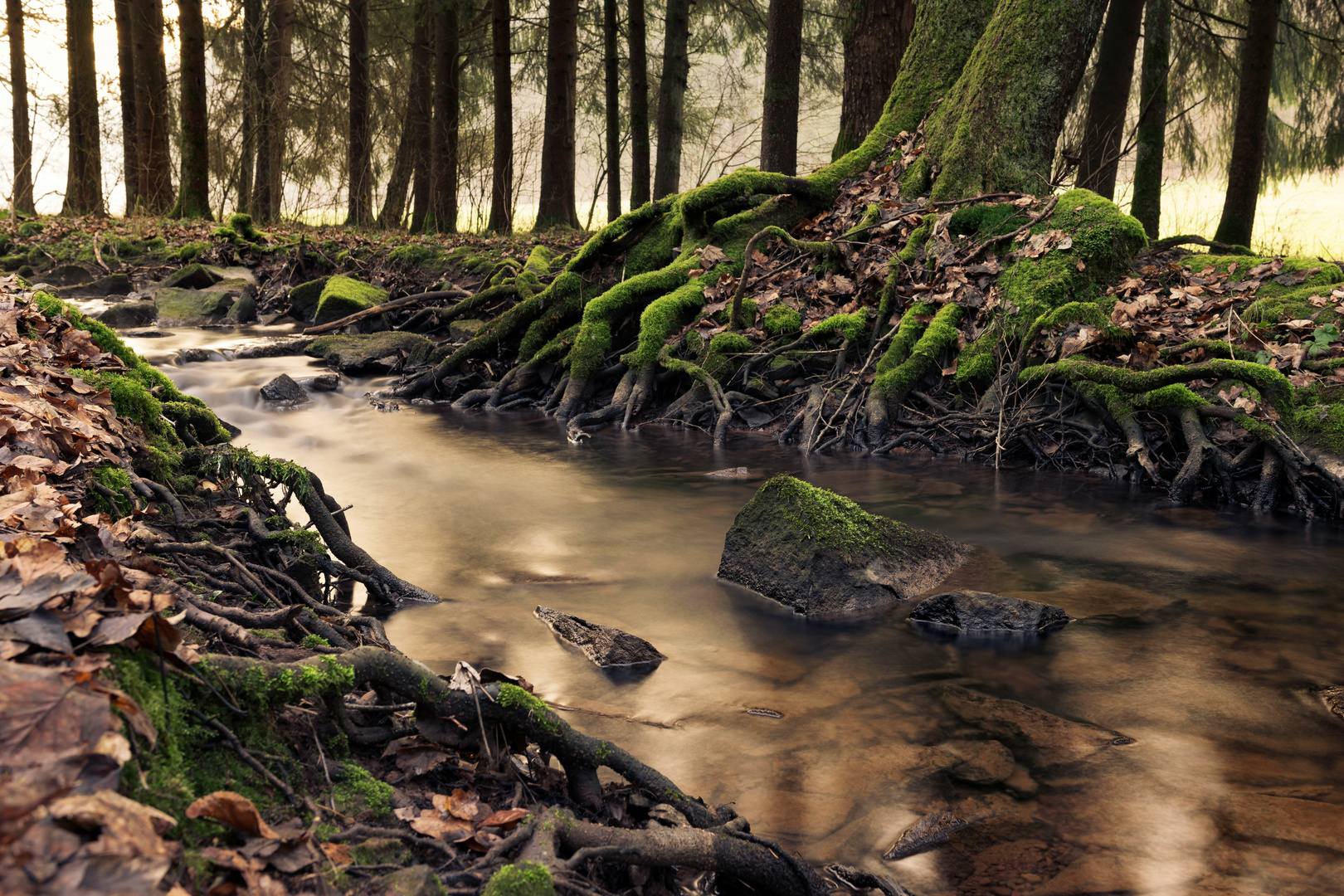 Bachlauf im Odenwald