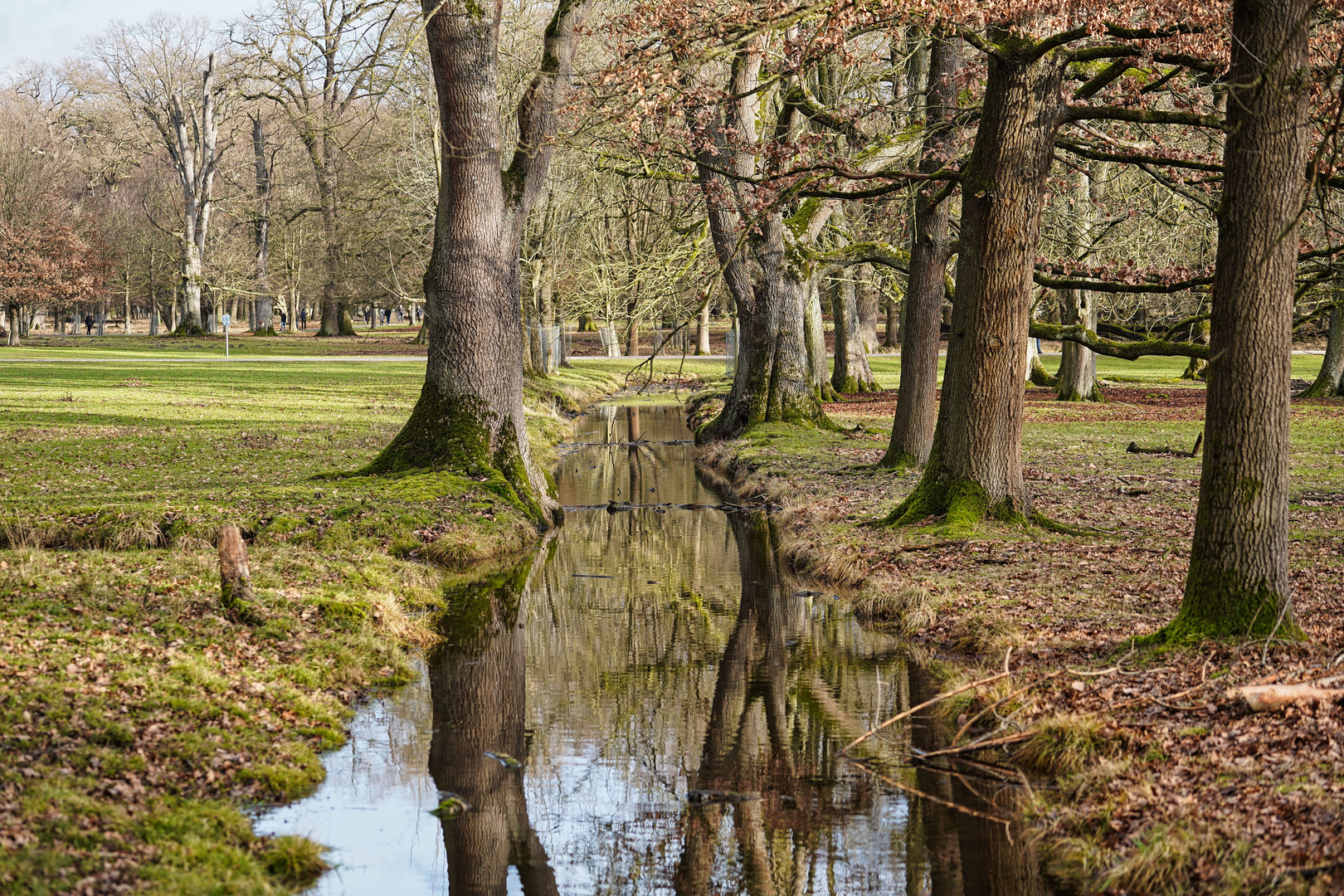 Bachlauf im Park