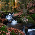 Bachlauf im Schwarzwald 