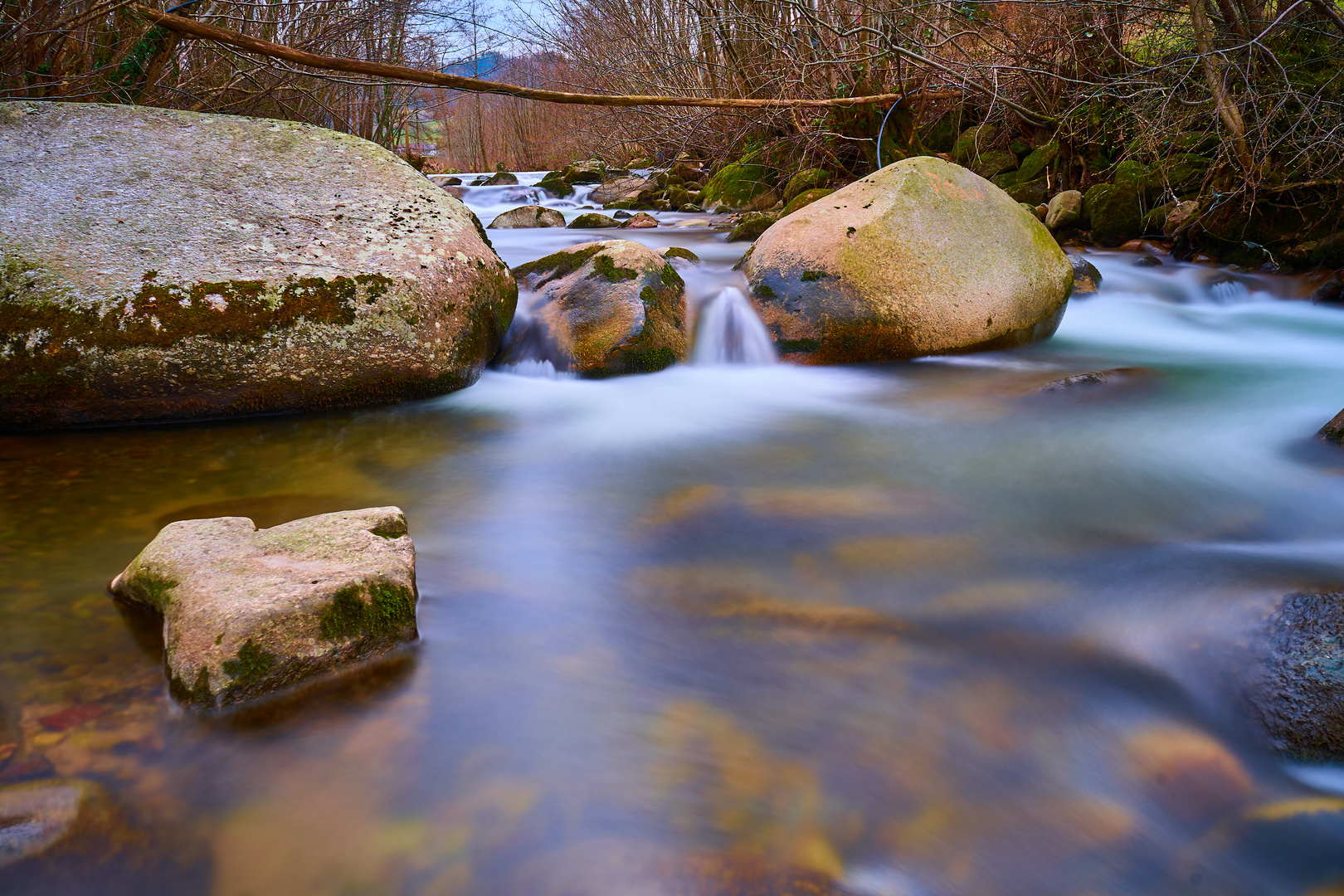 Bachlauf im Schwarzwald