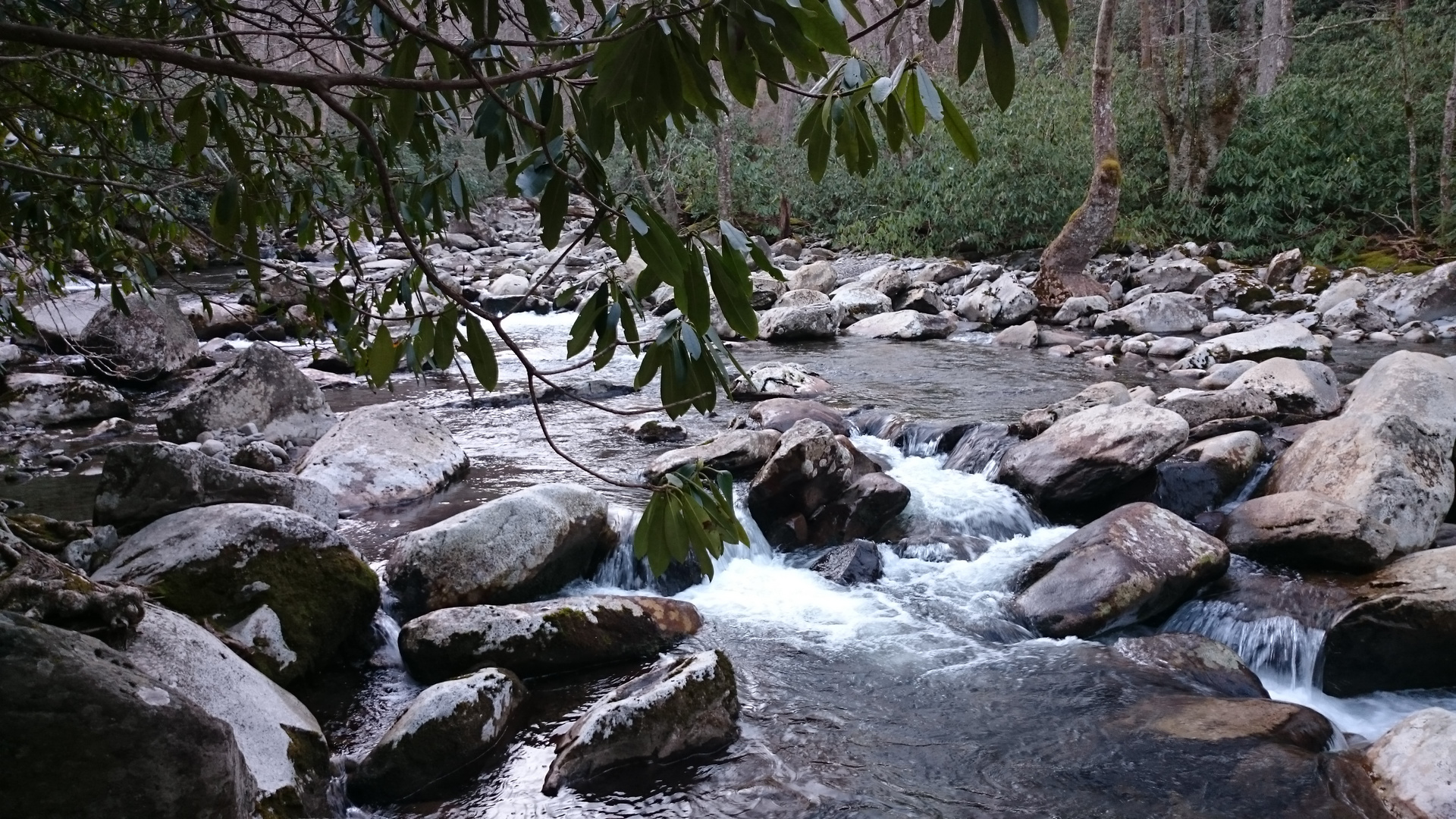 Bachlauf im Smoky Mountains Nationalpark