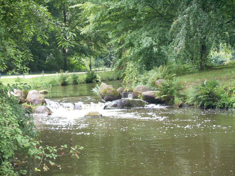 Bachlauf im Sommer