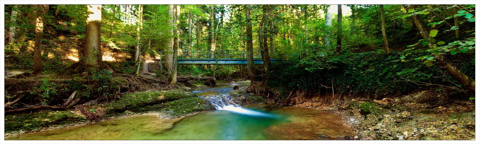 Bachlauf im Sommergrün