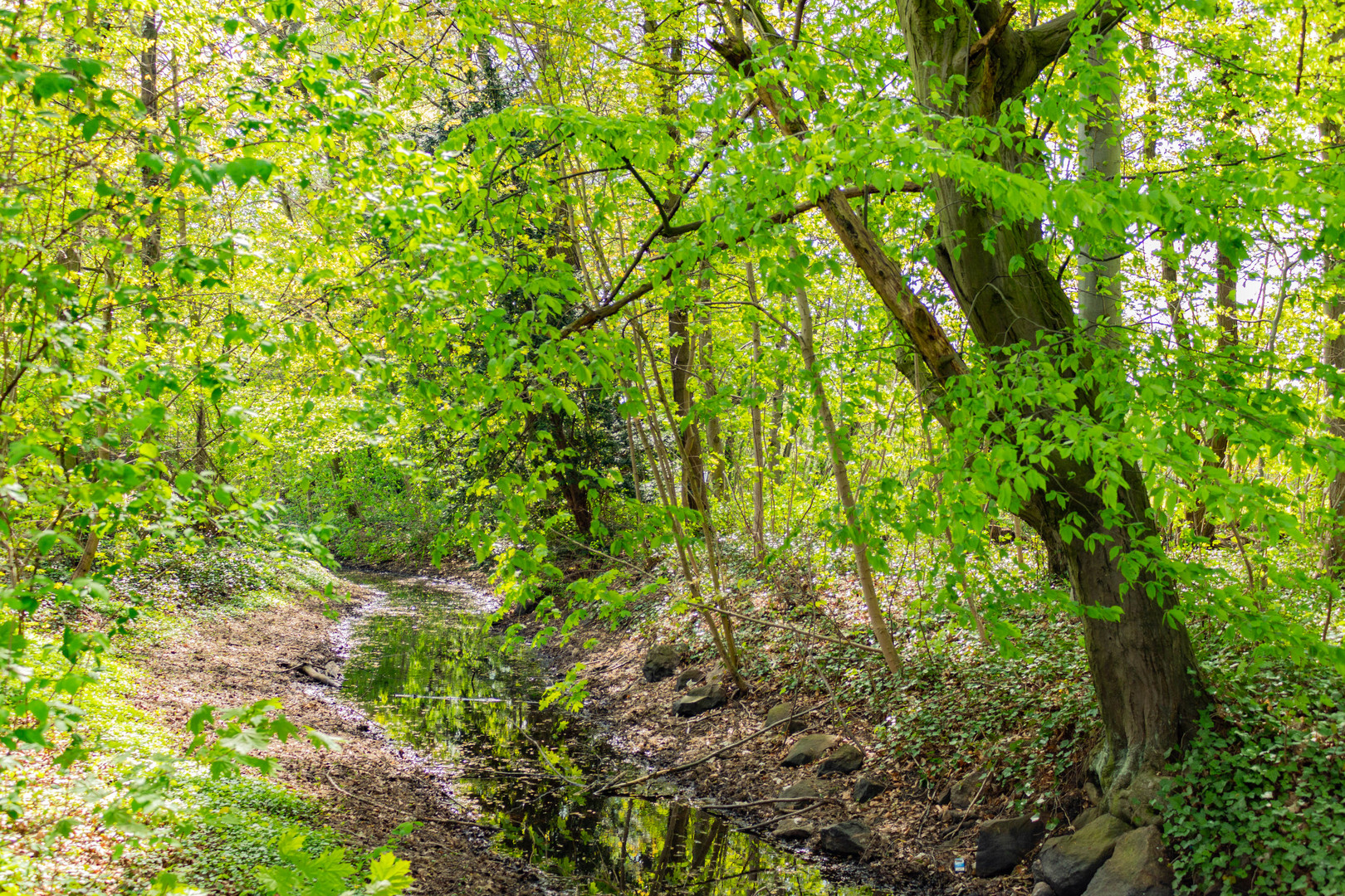 Bachlauf im Stadtpark