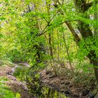 Bachlauf im Stadtpark