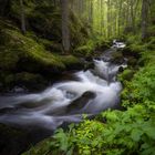 Bachlauf im Südschwarzwald